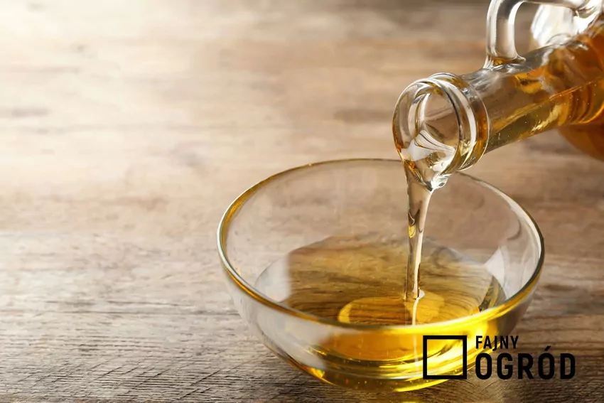 Olej lniany najlepiej pić rano na czczo, bo wtedy organizm wchłania najwięcej cennych składników Olej lniany w miseczce