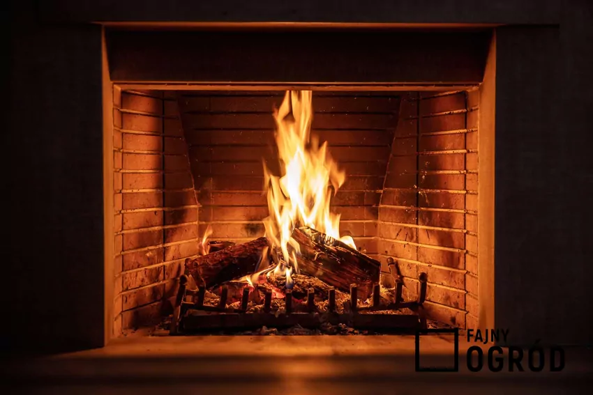 Ogrzewanie drewnem klasy premium jest wygodniejsze ale droższe Rozpalony kominek z polanami drewna