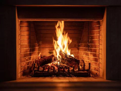 Tanie drewno czy opał klasy premium?