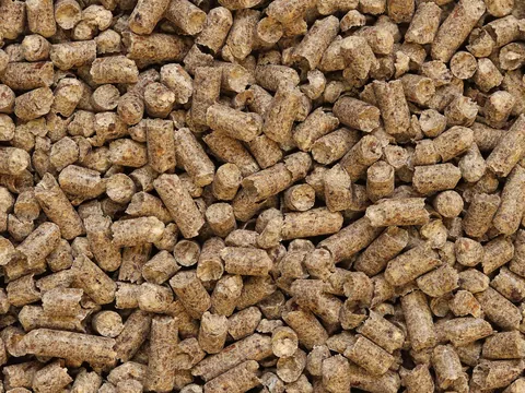 Polski pellet a importowany