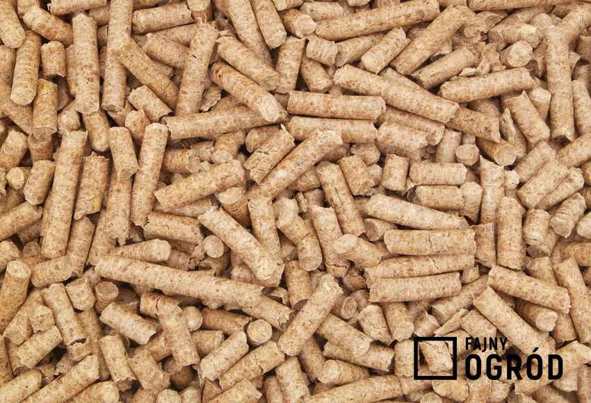 Dobrej jakości pellet ma jednorodną barwę i gładką powierzchnię Kupowanie pelletu niskiej jakości jest często oszczędnością pozorną