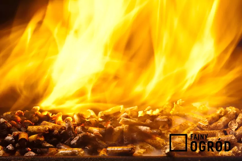 Nie każdy zamiennik pelletu jest skuteczny i bezpieczny palący się pellet drzewny