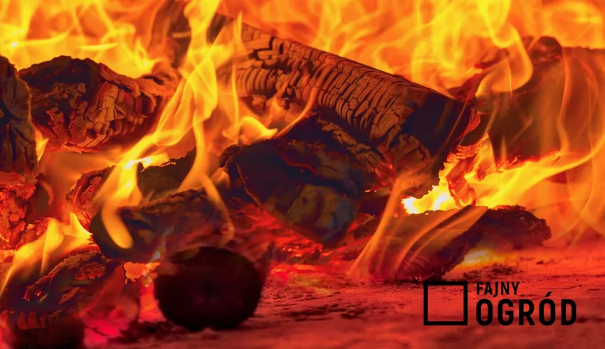 Suche drewno opałowe spala się powoli i równomiernie Warunkiem czystego i długiego spalania drewna jest jego odpowiednia wilgotność