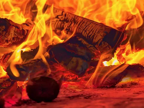 Które drewno opałowe pali się najlepiej?