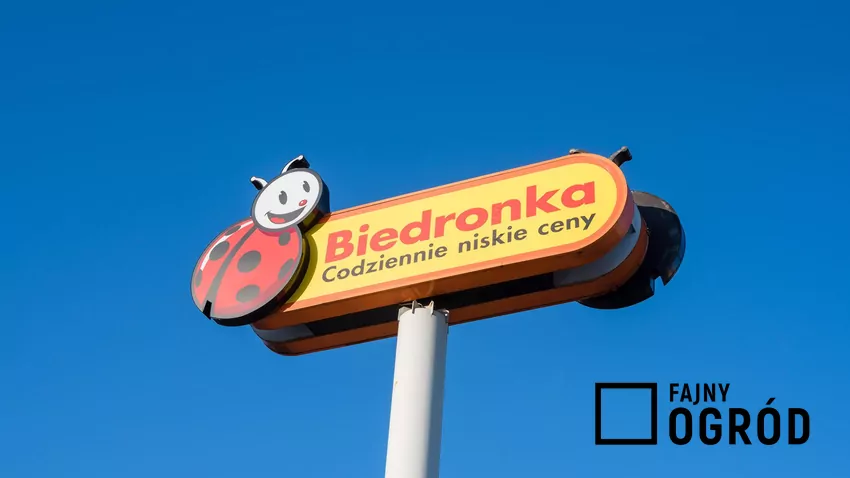 Biedronka