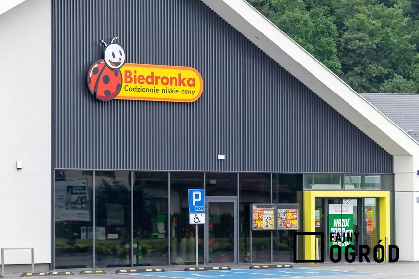 W nowej gazetce Biedronki dużo ciekawych promocji Biedronka