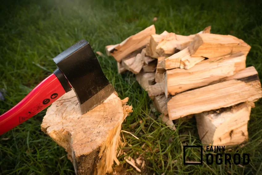 Ceny drewna opałowego są coraz silniej zróznicowane Siekiera wbita w pień i świeżo porąbane drewno opałowe