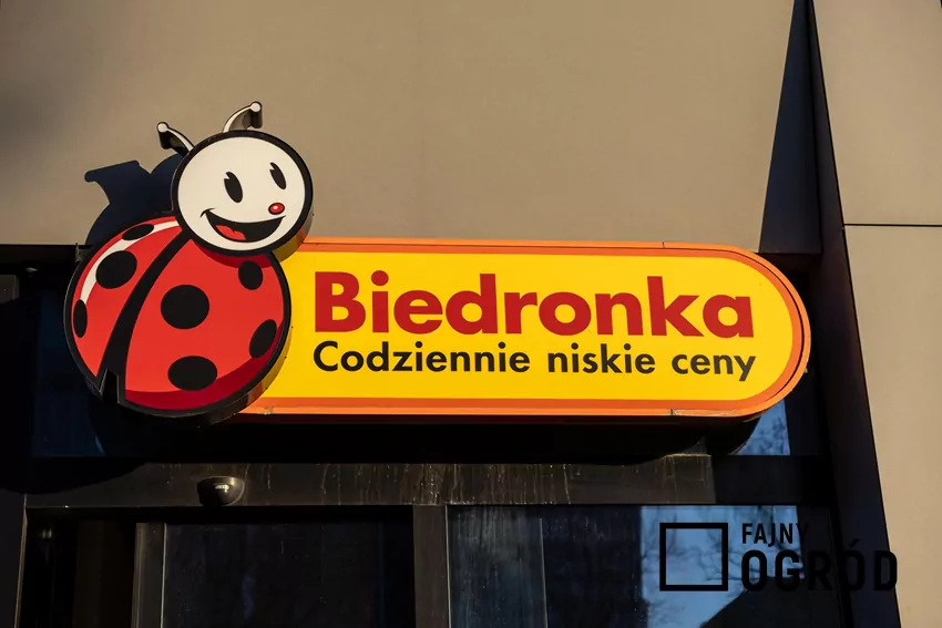 Przegląd gazetki Biedronki z dn. 8-14.12 Biedronka