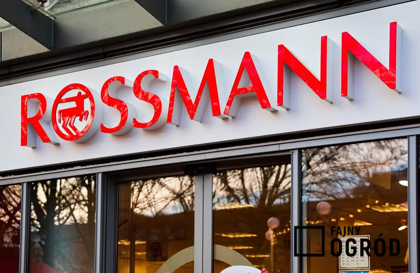 Rossmann