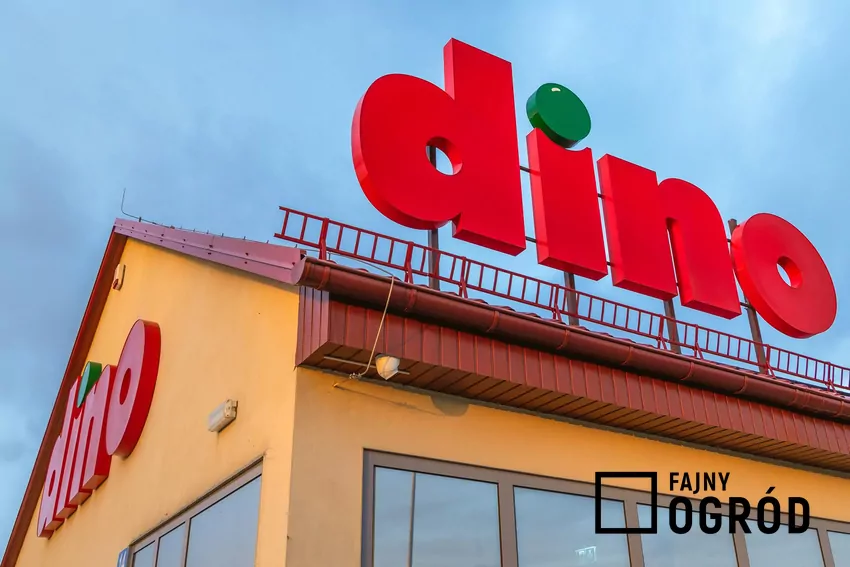 Ciekawe oferty w atrakcyjnych cenach - do 16 grudnia w Dino Dino - sklep