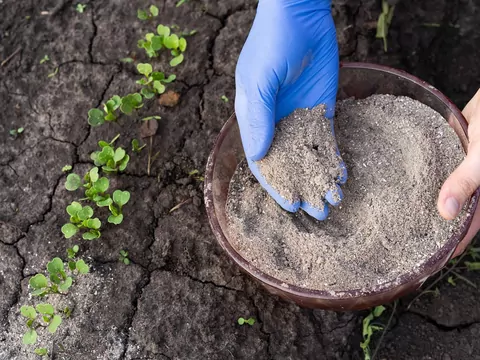 Popiół z pelletu w ogrodzie