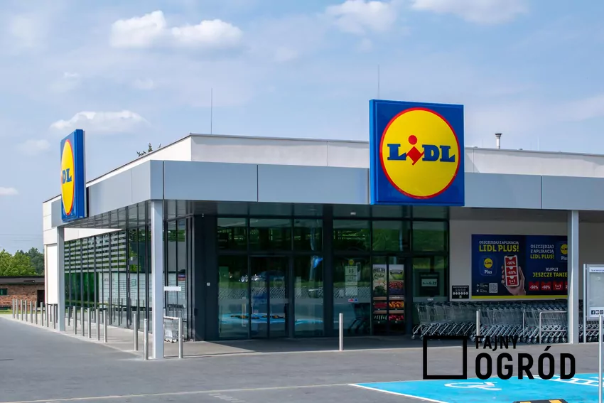 Sklep Lidl