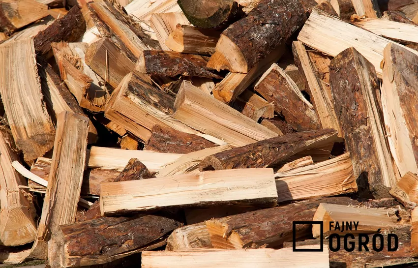 Sezonowanie opału w formie stosu nasypowego Drewno nasypane luźno na stos schnie lepiej niż ułożone w stosy