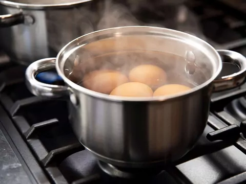 Woda z gotowania jajek do roślin doniczkowych
