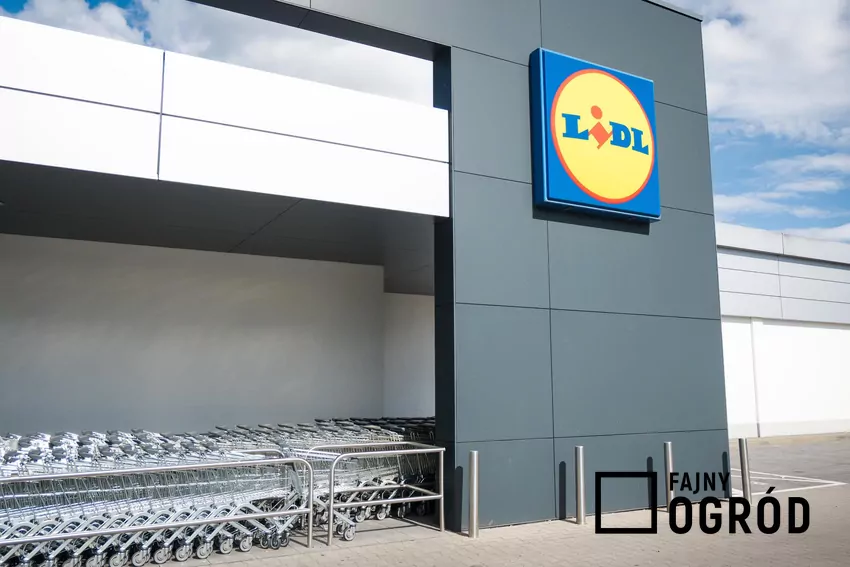 Sklep Lidl