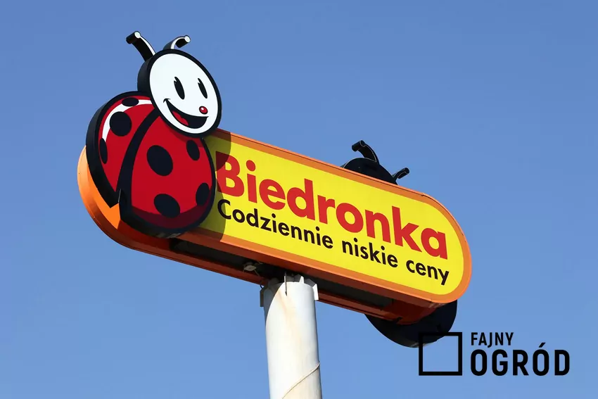 Biedronka