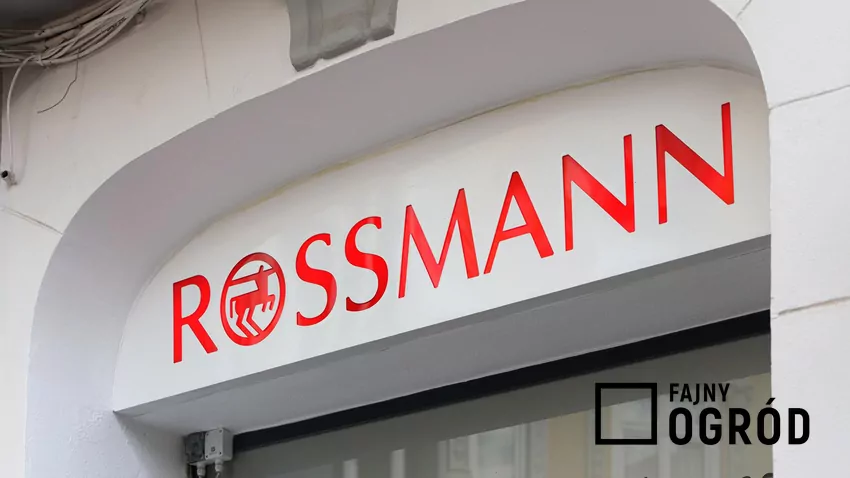 Rossmann