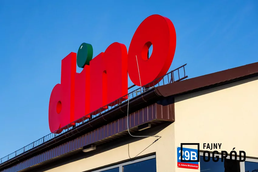 W nowej gazetce Dino dużo ciekawych promocji Dino