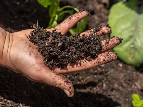 Najlepsza ziemia do kwiatów