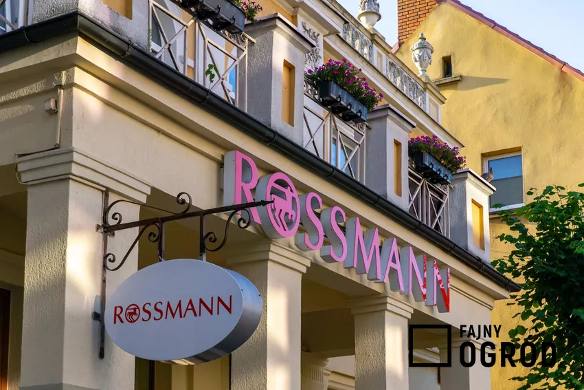 Rossmann