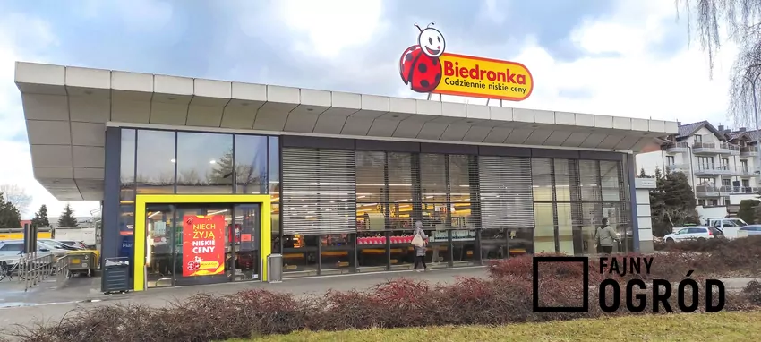 Biedronka