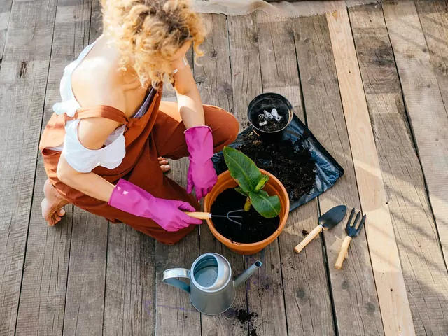 Naturalny nawóz ze skórki banana