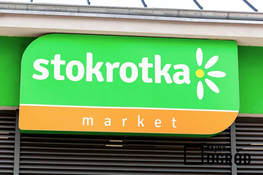 Nowa gazetka Stokrotki skrywa wiele ciekawych promocji Stokrotka