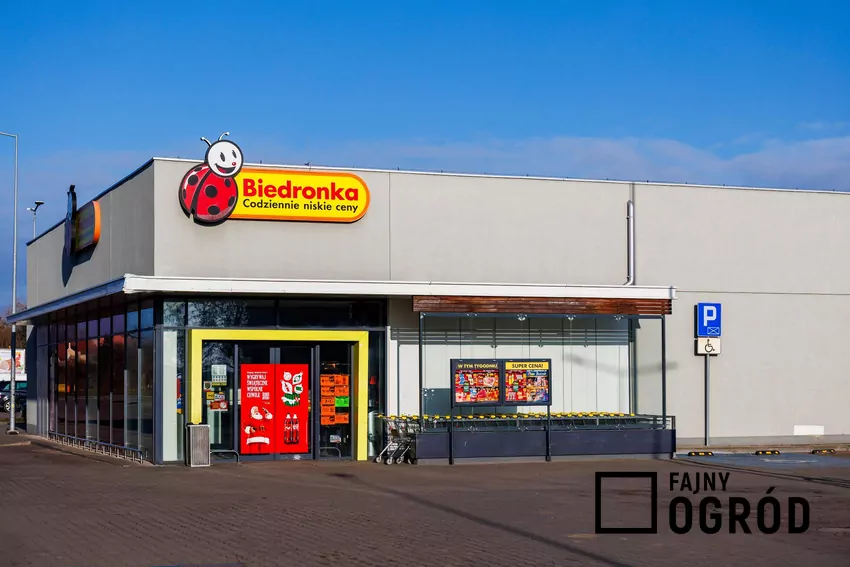 Promocja na Kinder Niespodzianki w Biedronce