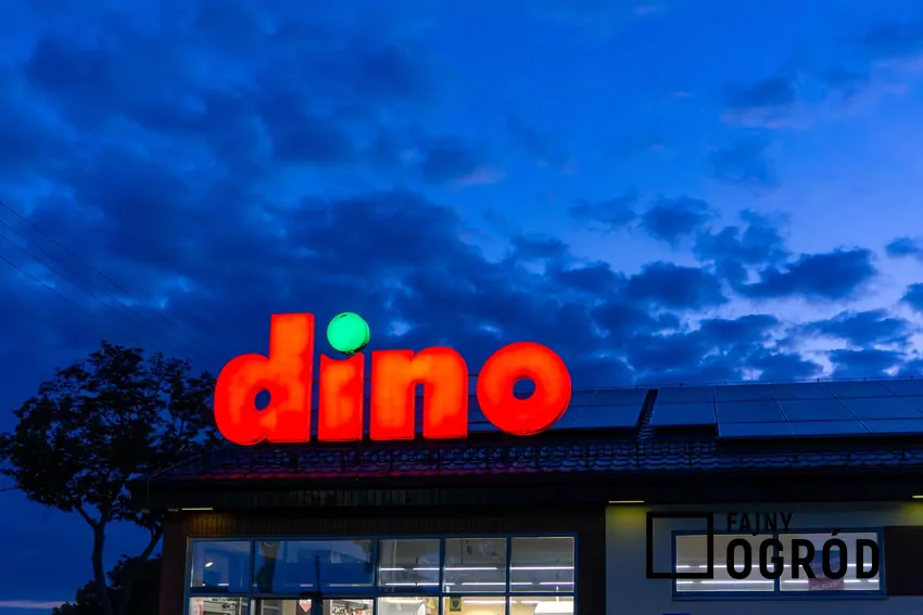 W nowej gazetce Dino dużo ciekawych promocji Dino