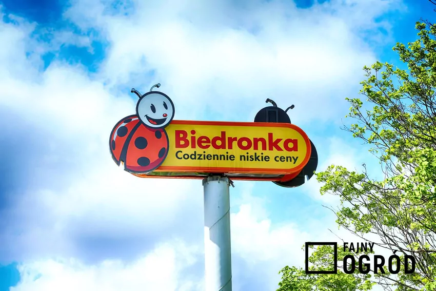 W nowej gazetce Biedronki dużo ciekawych promocji Biedronka