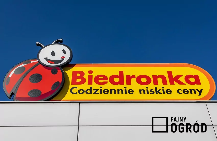 Biedronka