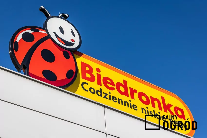 Logo sklepu Biedronka