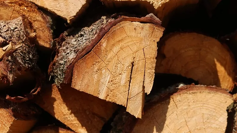 Drewno powinno być przechowywane w suchym, przewiewnym i zadaszonym miejscu. stos drewna opałowego