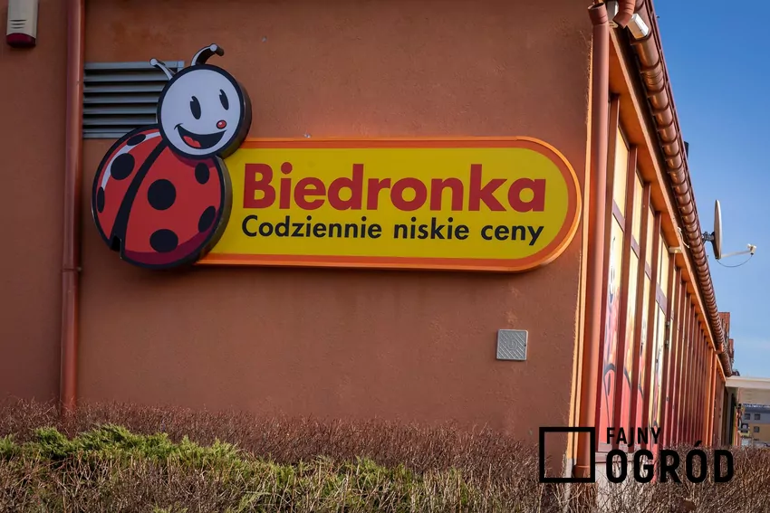 Biedronka