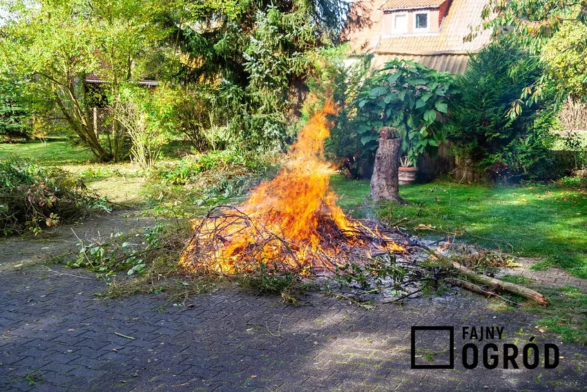 Za palenie ogniska w celu usunięcia odpadów grozi mandat lub grzywna