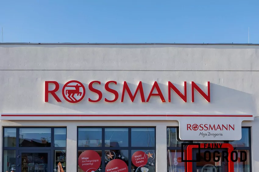 Rossmann