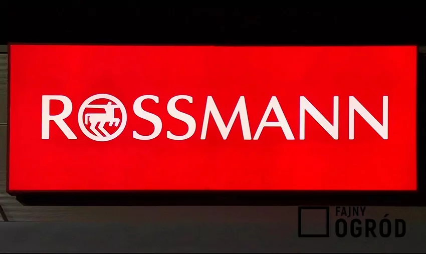 Rossmann