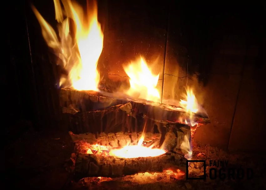 Drewno i ogień w kominku