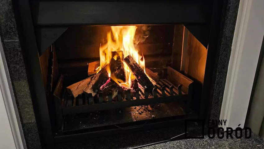 Drewno i ogień w kominku