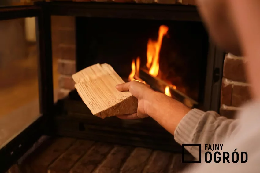 Mężczyzna dokładka opał do kominka