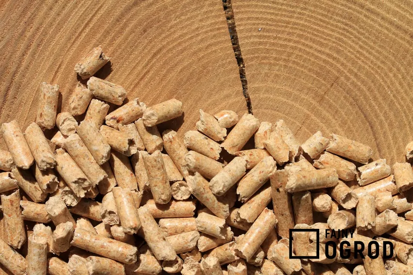 pellet drzewny