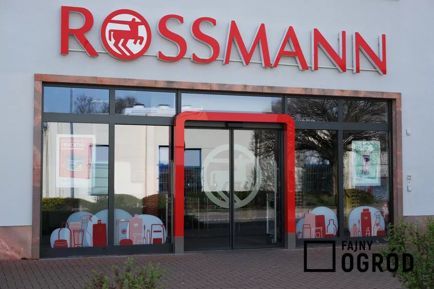 Rossmann