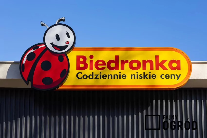 Biedronka