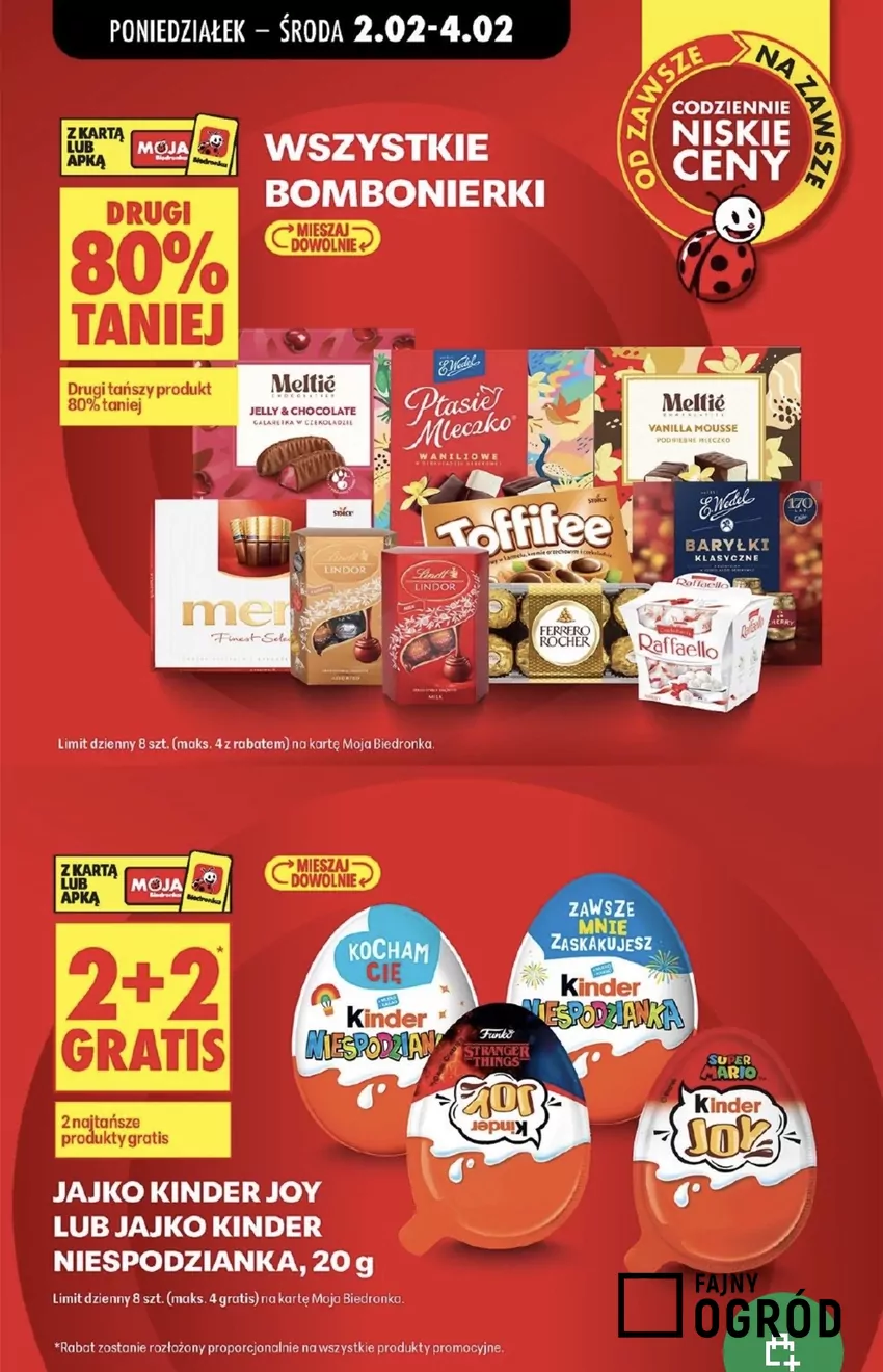 Promocje w Biedronce