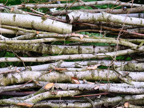 Różne rodzaje drewna w jednym paleniu