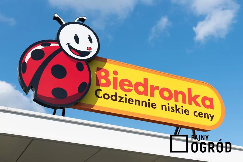 Biedronka