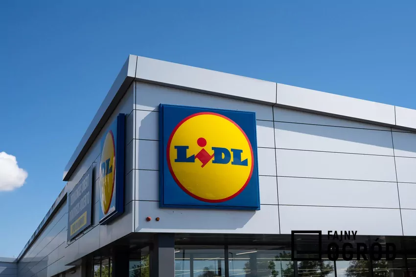 Sklep Lidl