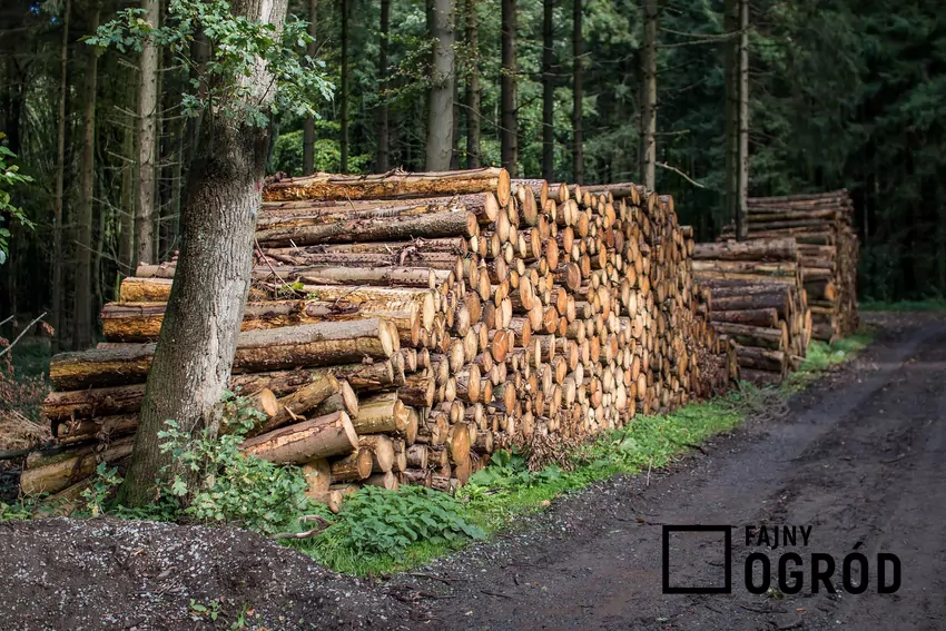 Metr przestrzenny różni się od metra sześciennego obecnością pustych przestrzeni miedzy wałkami i szczapami