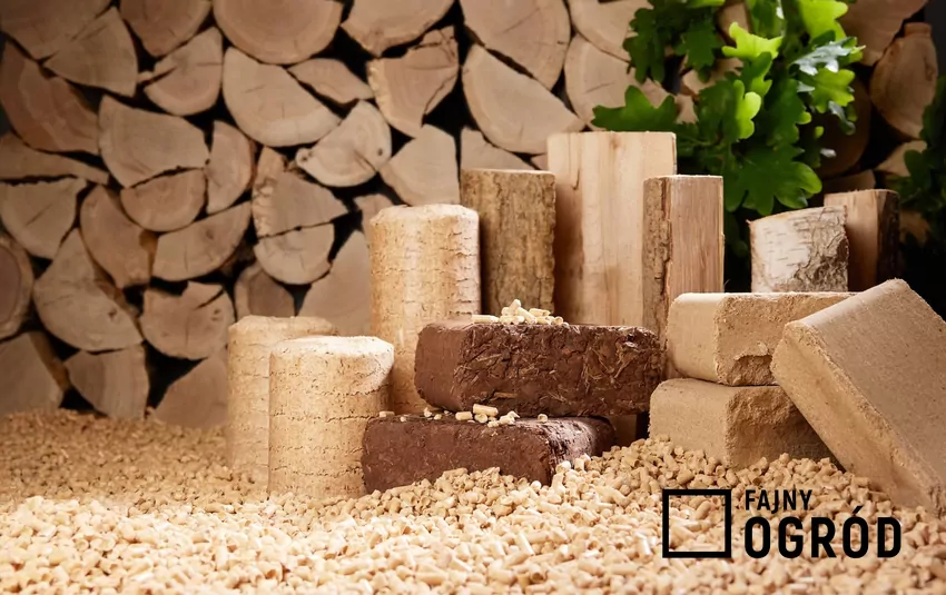 brykiet i pellet drzewny