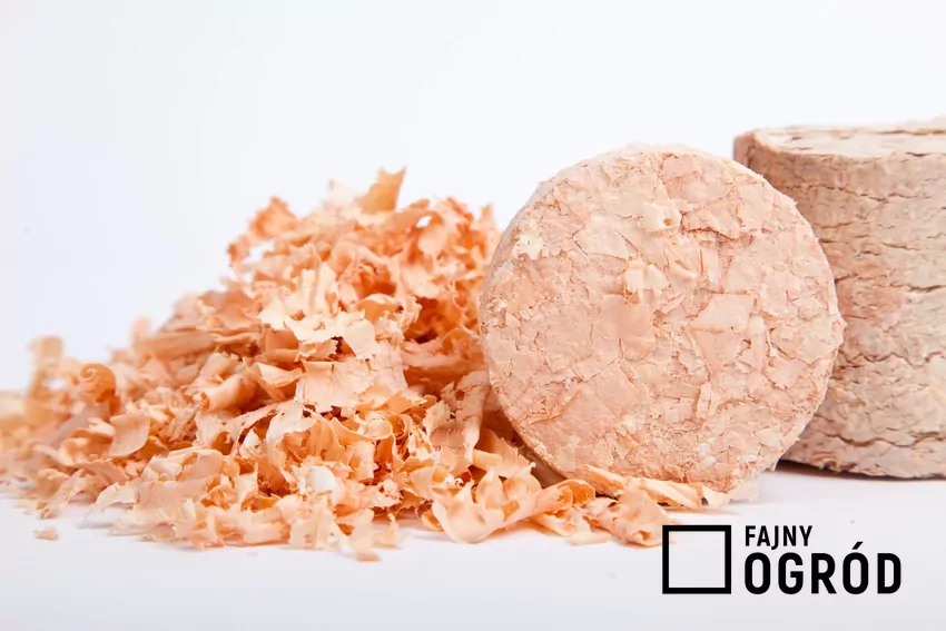 brykiet drzewny, zrębki drewna